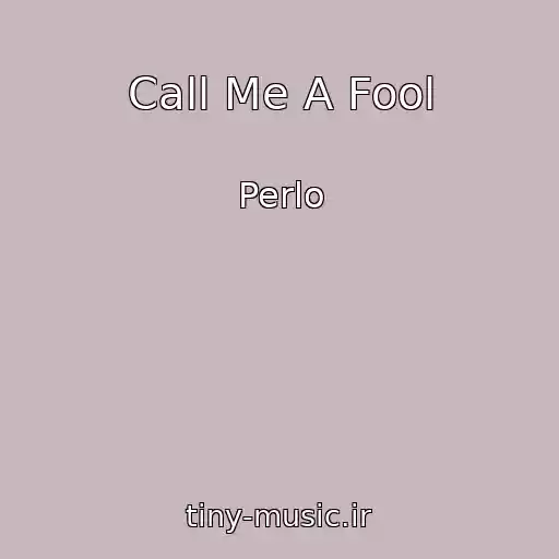 کاور آهنگ Call Me A Fool از Perlo