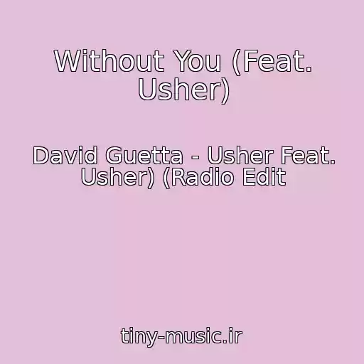 کاور آهنگ Without You (Feat. Usher) از David Guetta - Usher Feat. Usher) (Radio Edit