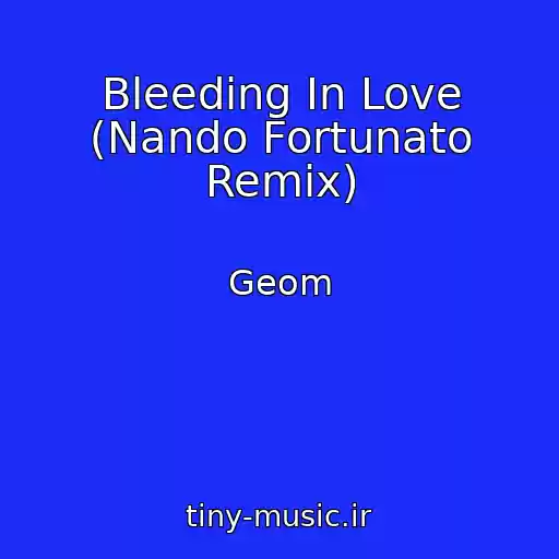 کاور آهنگ Bleeding In Love (Nando Fortunato Remix) از Geom
