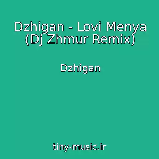 کاور آهنگ Dzhigan - Lovi Menya (Dj Zhmur Remix) از Dzhigan