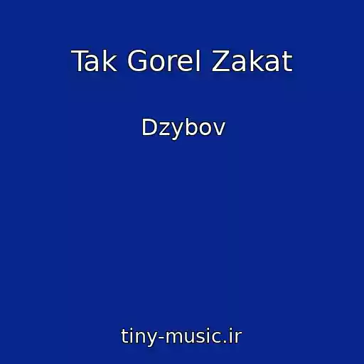 کاور آهنگ Tak Gorel Zakat از Dzybov