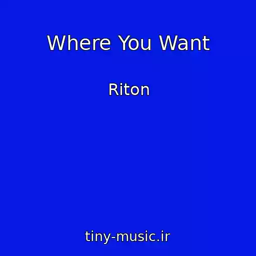 کاور آهنگ Where You Want از Riton