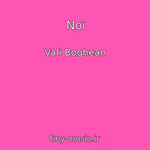 کاور آهنگ Noi از Vali Boghean