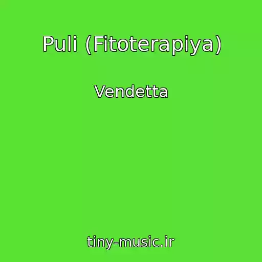 کاور آهنگ Puli (Fitoterapiya) از Vendetta