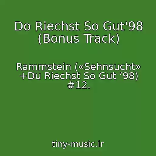 کاور آهنگ Do Riechst So Gut'98 (Bonus Track) از Rammstein («Sehnsucht» +Du Riechst So Gut ’98) #12.