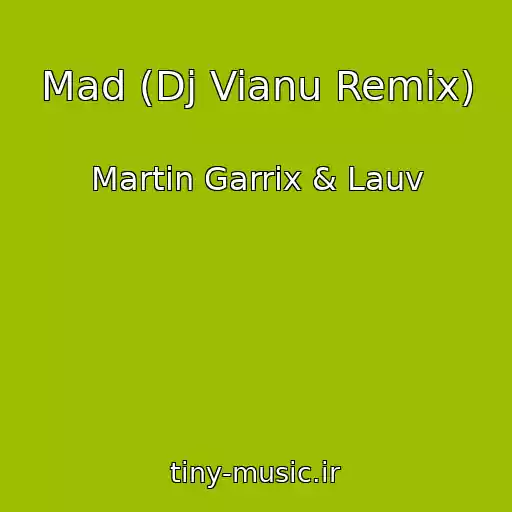 کاور آهنگ Mad (Dj Vianu Remix) از Martin Garrix & Lauv