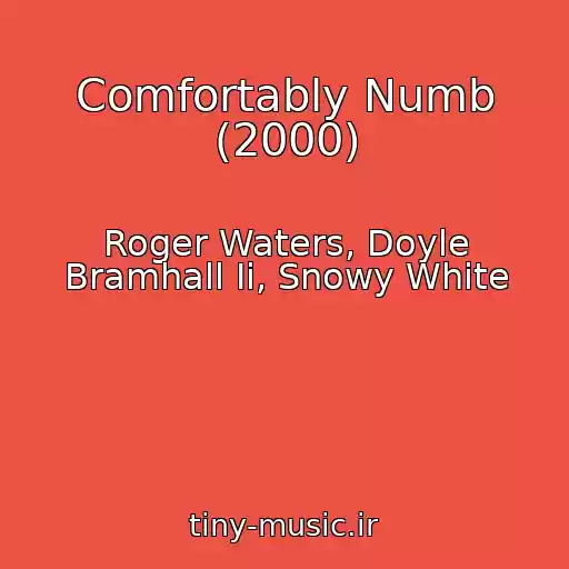 کاور آهنگ Comfortably Numb (2000) از Roger Waters, Doyle Bramhall Ii, Snowy White