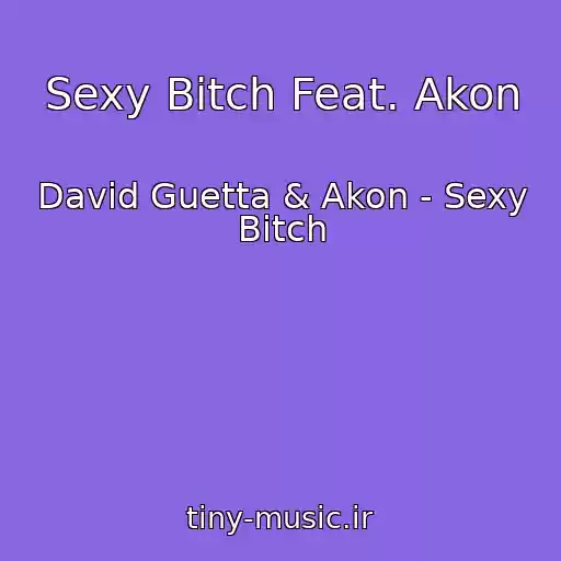کاور آهنگ Sexy Bitch Feat. Akon از David Guetta & Akon - Sexy Bitch