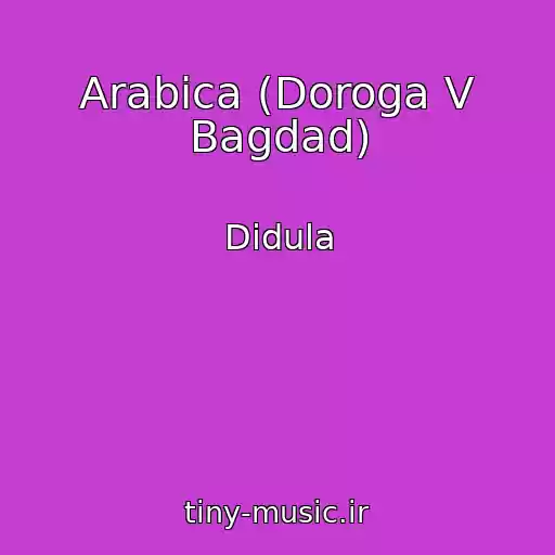 کاور آهنگ Arabica (Doroga V Bagdad) از Didula