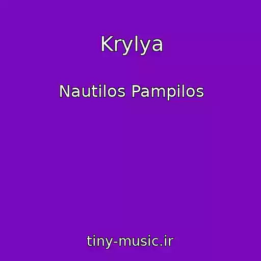 کاور آهنگ Krylya از Nautilos Pampilos
