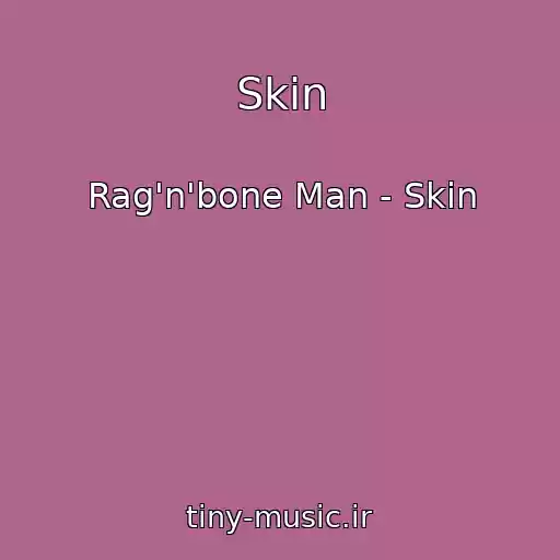کاور آهنگ Skin از Rag'n'bone Man - Skin