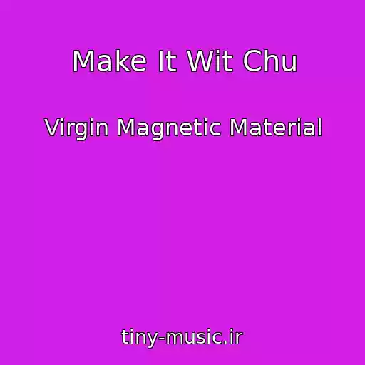 کاور آهنگ Make It Wit Chu از Virgin Magnetic Material