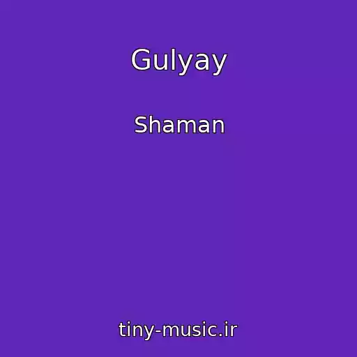 کاور آهنگ Gulyay از Shaman