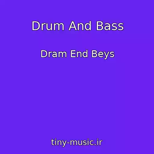 کاور آهنگ Drum And Bass از Dram End Beys