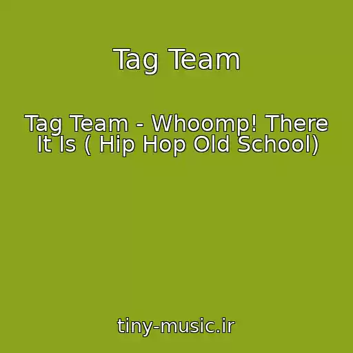 کاور آهنگ Tag Team از Tag Team - Whoomp! There It Is ( Hip Hop Old School)