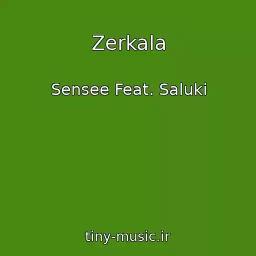 کاور آهنگ Zerkala از Sensee Feat. Saluki