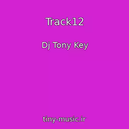کاور آهنگ Track12 از Dj Tony Key