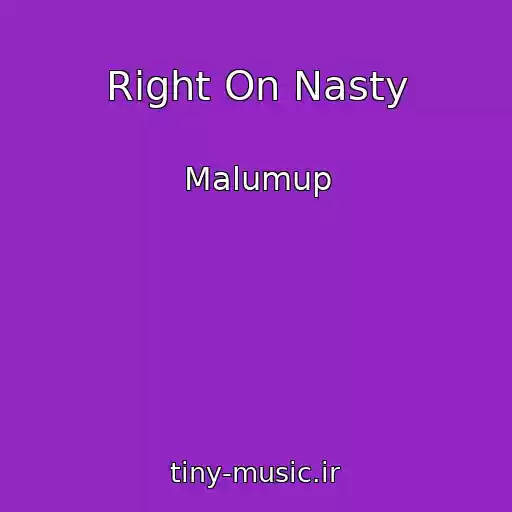 کاور آهنگ Right On Nasty از Malumup