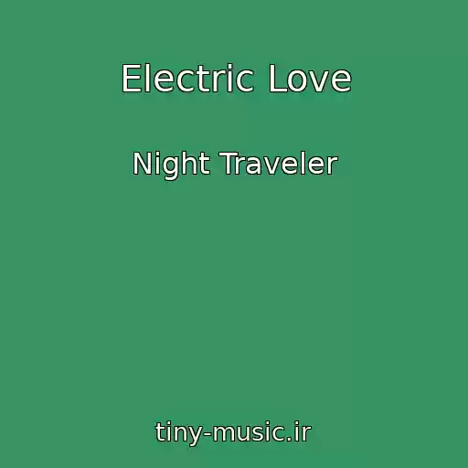 کاور آهنگ Electric Love از Night Traveler