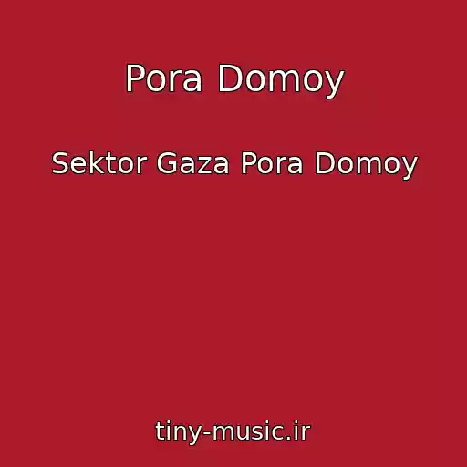 کاور آهنگ Pora Domoy از Sektor Gaza Pora Domoy