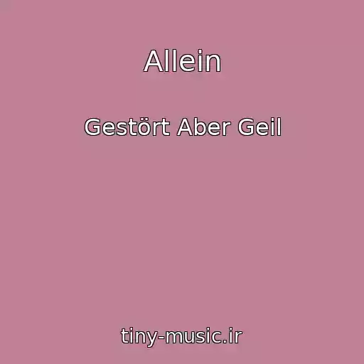 کاور آهنگ Allein از Gestört Aber Geil