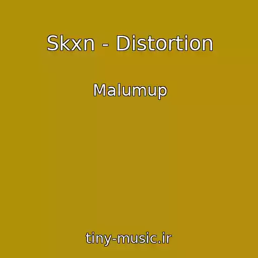 کاور آهنگ Skxn - Distortion از Malumup