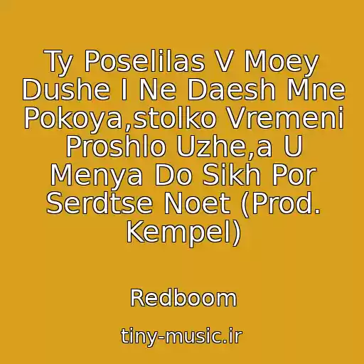 کاور آهنگ Ty Poselilas V Moey Dushe I Ne Daesh Mne Pokoya,stolko Vremeni Proshlo Uzhe,a U Menya Do Sikh Por Serdtse Noet (Prod. Kempel) از Redboom