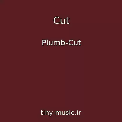 کاور آهنگ Cut از Plumb-Cut