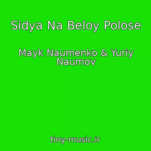 کاور آهنگ Sidya Na Beloy Polose از Mayk Naumenko & Yuriy Naumov