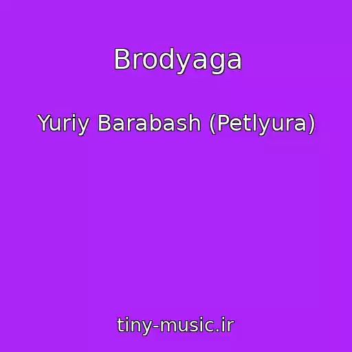 کاور آهنگ Brodyaga از Yuriy Barabash (Petlyura)