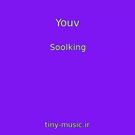 کاور آهنگ Youv از Soolking