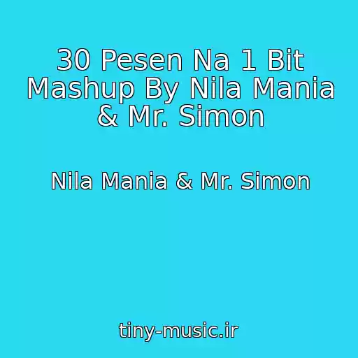 کاور آهنگ 30 Pesen Na 1 Bit Mashup By Nila Mania & Mr. Simon از Nila Mania & Mr. Simon