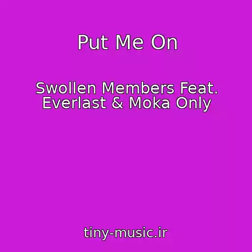 کاور آهنگ Put Me On از Swollen Members Feat. Everlast & Moka Only