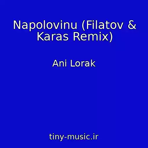 کاور آهنگ Napolovinu (Filatov & Karas Remix) از Ani Lorak