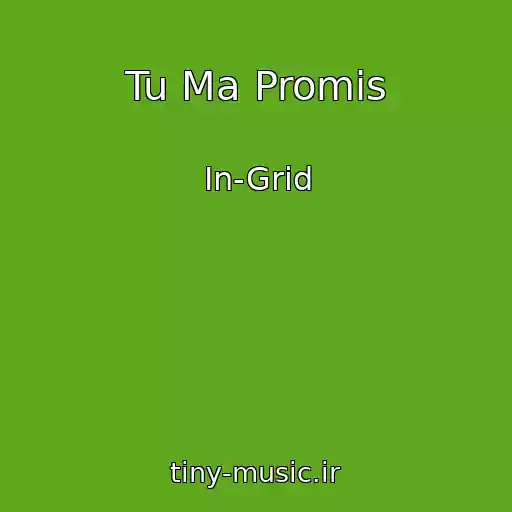کاور آهنگ Tu Ma Promis از In-Grid