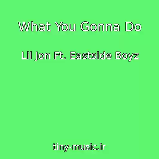 کاور آهنگ What You Gonna Do از Lil Jon Ft. Eastside Boyz