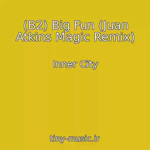 کاور آهنگ (B2) Big Fun (Juan Atkins Magic Remix) از Inner City