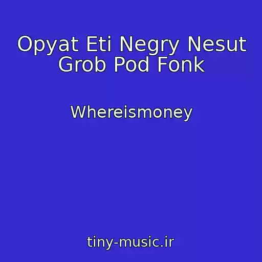 کاور آهنگ Opyat Eti Negry Nesut Grob Pod Fonk از Whereismoney