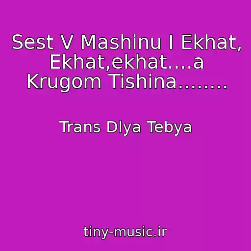 کاور آهنگ Sest V Mashinu I Ekhat, Ekhat,ekhat....a Krugom Tishina........ از Trans Dlya Tebya