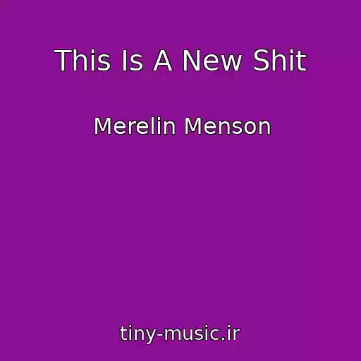 کاور آهنگ This Is A New Shit از Merelin Menson