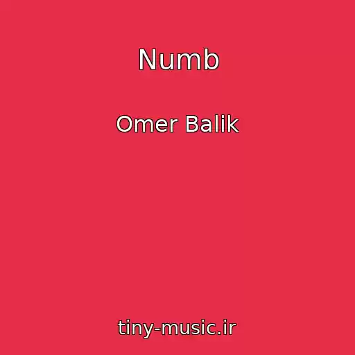 کاور آهنگ Numb از Omer Balik