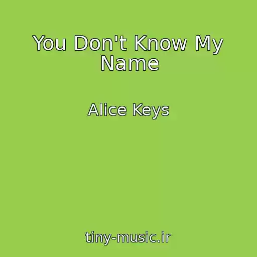 کاور آهنگ You Don't Know My Name از Alice Keys