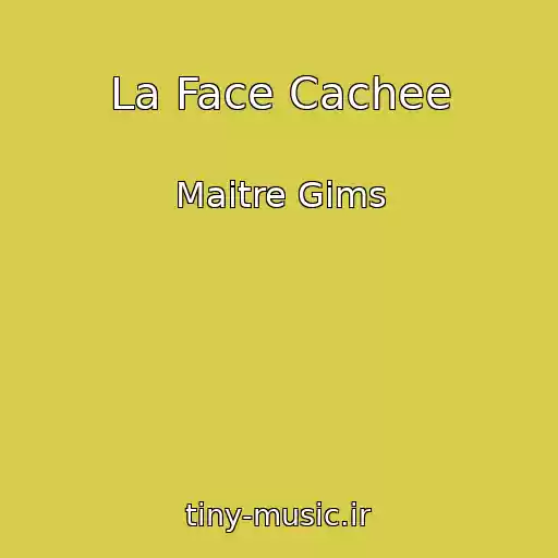 کاور آهنگ La Face Cachee از Maitre Gims