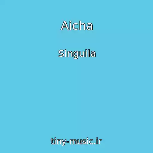 کاور آهنگ Aicha از Singuila