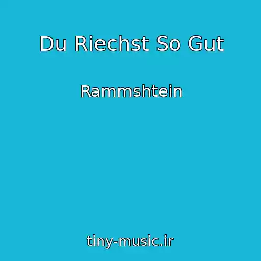 کاور آهنگ Du Riechst So Gut از Rammshtein