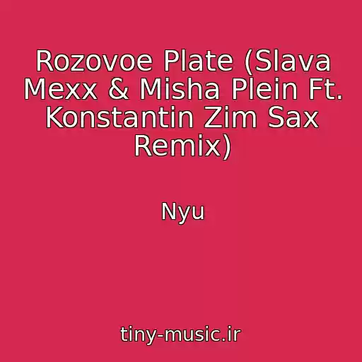 کاور آهنگ Rozovoe Plate (Slava Mexx & Misha Plein Ft. Konstantin Zim Sax Remix) از Nyu