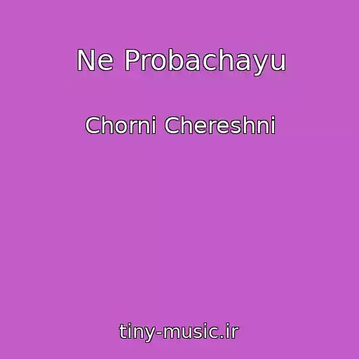 کاور آهنگ Ne Probachayu از Chornі Chereshnі