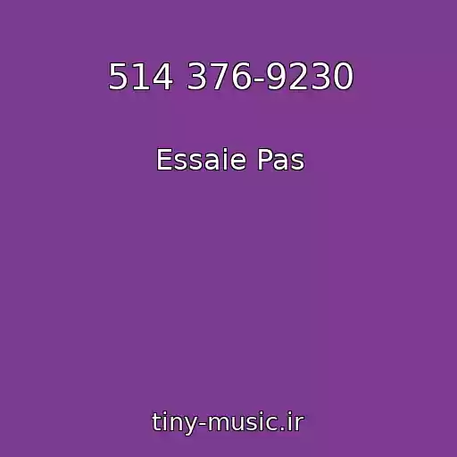 کاور آهنگ 514 376-9230 از Essaie Pas