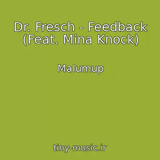 کاور آهنگ Dr. Fresch - Feedback (Feat. Mina Knock) از Malumup