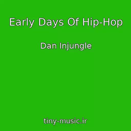 کاور آهنگ Early Days Of Hip-Hop از Dan Injungle